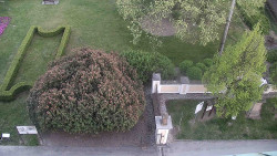 Veselíčko - zahrada u zámku