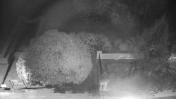 Veselíčko - zahrada u zámku