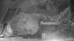 Veselíčko - zahrada u zámku