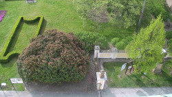 Veselíčko - zahrada u zámku