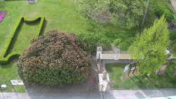 Veselíčko - zahrada u zámku