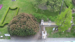 Veselíčko - zahrada u zámku