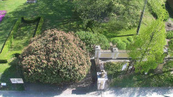 Veselíčko - zahrada u zámku