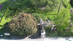 Veselíčko - zahrada u zámku