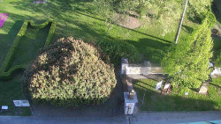 Veselíčko - zahrada u zámku