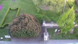 Veselíčko - zahrada u zámku