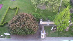 Veselíčko - zahrada u zámku