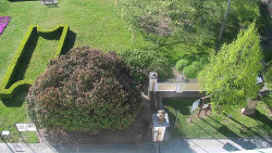 Veselíčko - zahrada u zámku