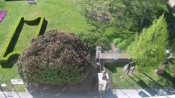 Veselíčko - zahrada u zámku