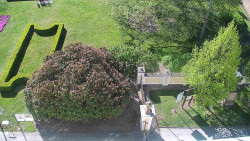 Veselíčko - zahrada u zámku