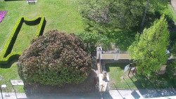 Veselíčko - zahrada u zámku