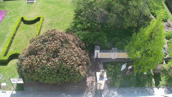 Veselíčko - zahrada u zámku