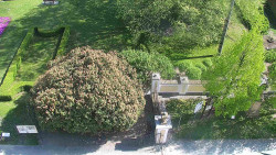 Veselíčko - zahrada u zámku