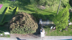 Veselíčko - zahrada u zámku