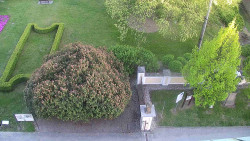 Veselíčko - zahrada u zámku