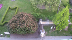 Veselíčko - zahrada u zámku