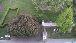 Veselíčko - zahrada u zámku