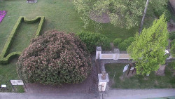 Veselíčko - zahrada u zámku