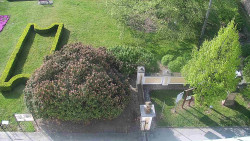 Veselíčko - zahrada u zámku