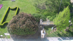 Veselíčko - zahrada u zámku