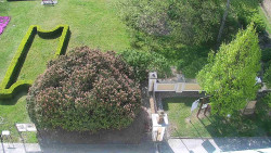 Veselíčko - zahrada u zámku