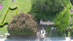 Veselíčko - zahrada u zámku