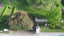 Veselíčko - zahrada u zámku