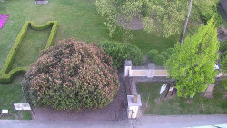 Veselíčko - zahrada u zámku