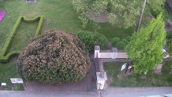 Veselíčko - zahrada u zámku