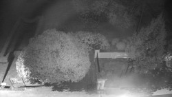 Veselíčko - zahrada u zámku