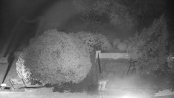 Veselíčko - zahrada u zámku