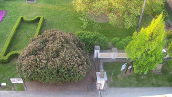 Veselíčko - zahrada u zámku