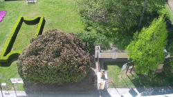 Veselíčko - zahrada u zámku