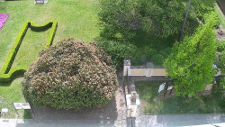 Veselíčko - zahrada u zámku