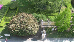 Veselíčko - zahrada u zámku