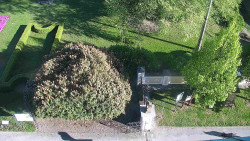 Veselíčko - zahrada u zámku