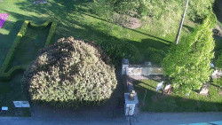 Veselíčko - zahrada u zámku