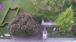 Veselíčko - zahrada u zámku