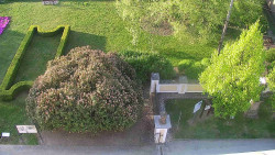 Veselíčko - zahrada u zámku