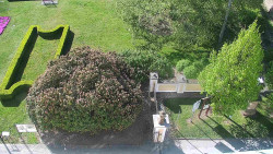 Veselíčko - zahrada u zámku