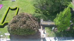 Veselíčko - zahrada u zámku