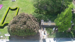 Veselíčko - zahrada u zámku