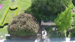 Veselíčko - zahrada u zámku