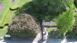 Veselíčko - zahrada u zámku