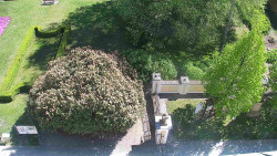 Veselíčko - zahrada u zámku