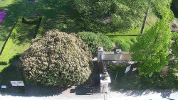 Veselíčko - zahrada u zámku