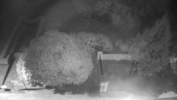 Veselíčko - zahrada u zámku