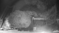 Veselíčko - zahrada u zámku