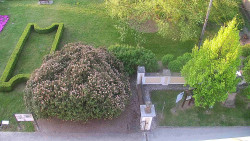 Veselíčko - zahrada u zámku