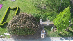 Veselíčko - zahrada u zámku